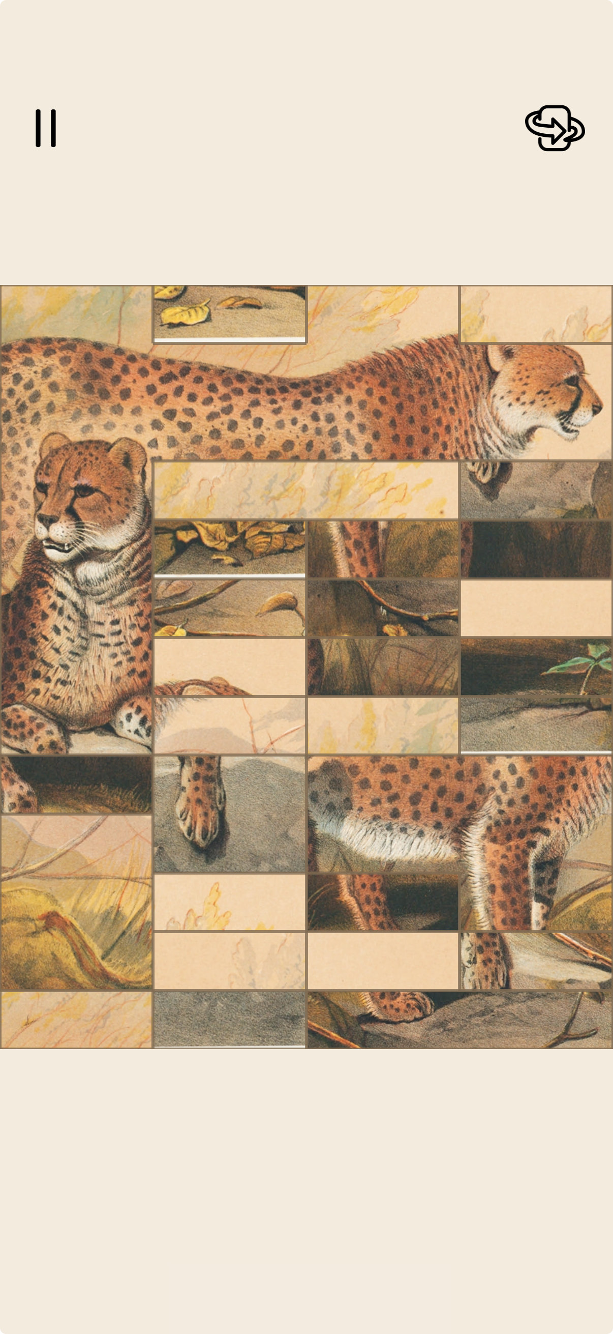 Screenshot showing the cheetha puzzle partially solved.